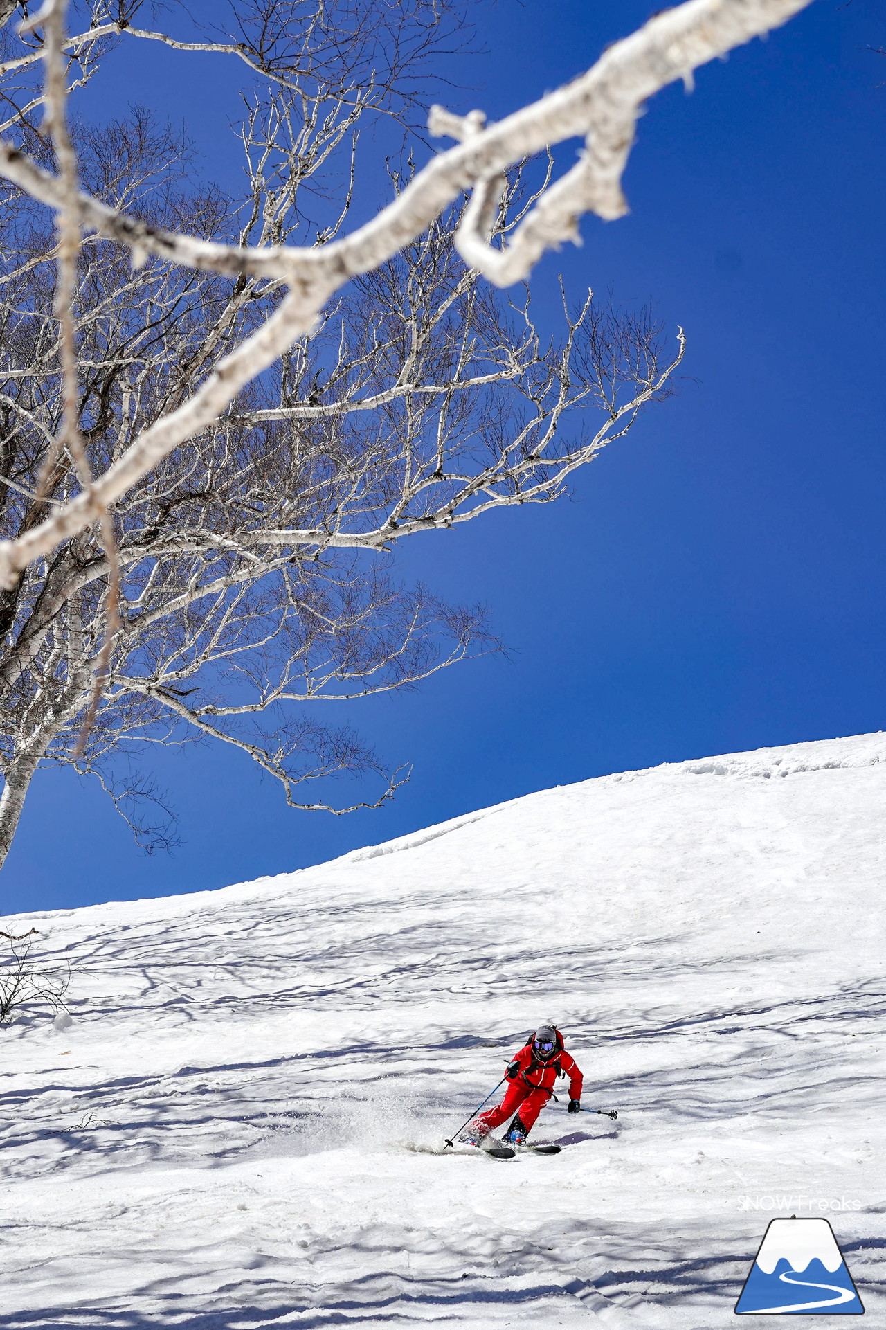 ニセコグラン・ヒラフ DYNASTAR SKI TEST RIDE DAYS Photo Session!!最高の天気に恵まれたニセコに、最高の仲間たちが集まりました☆